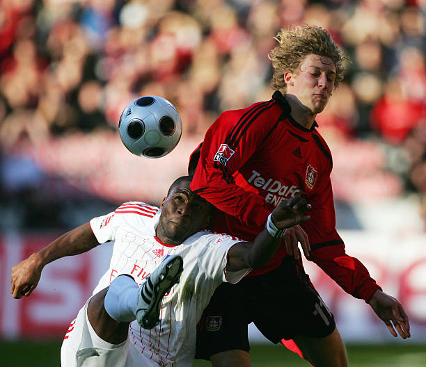 小狗亮相仪 小狗亮相仪